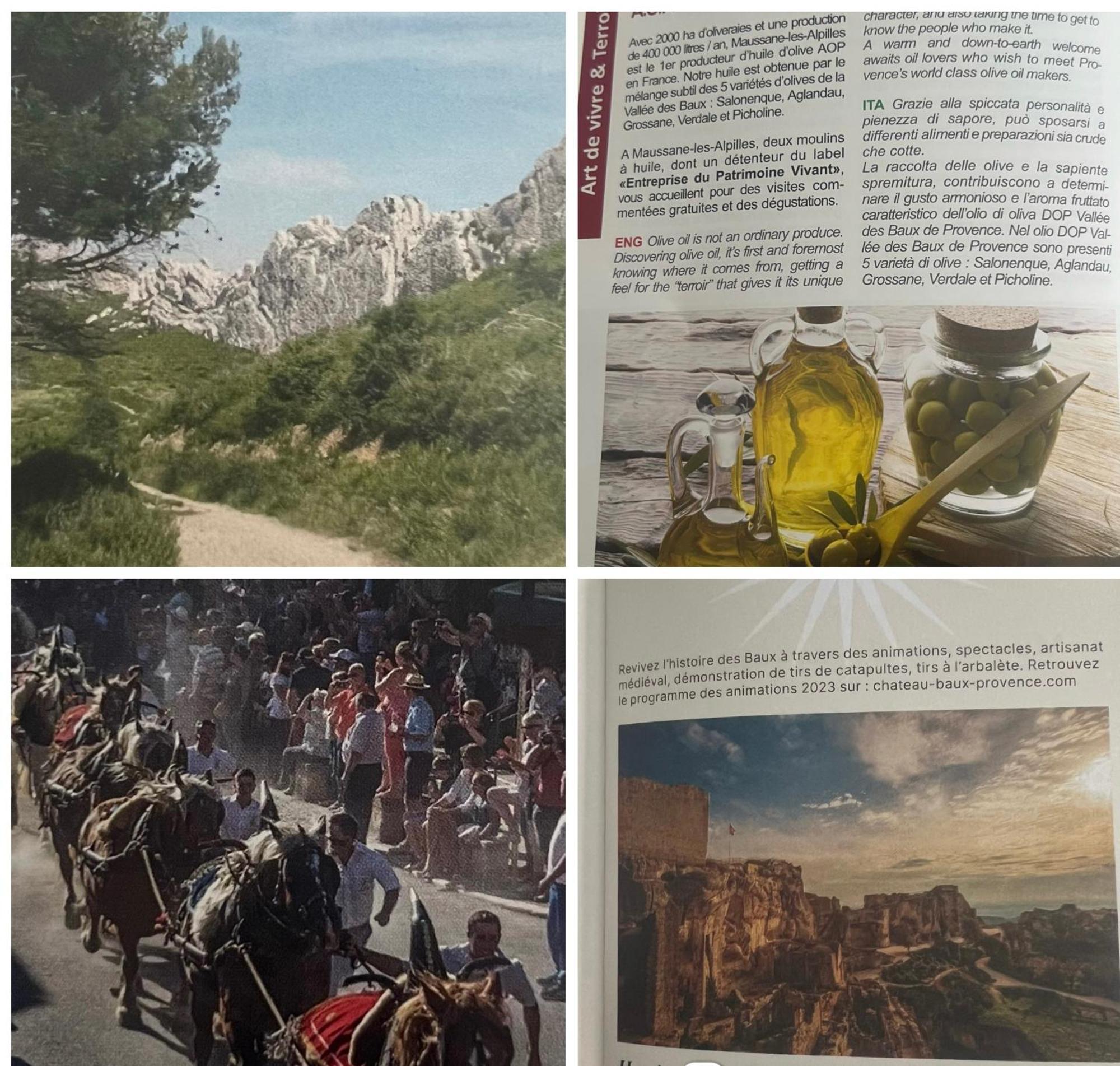 Mon Petit Bali Panzió Maussane les Alpilles Kültér fotó